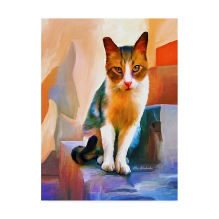 Ata Alishahi 'Cat' Canvas Art,14x19